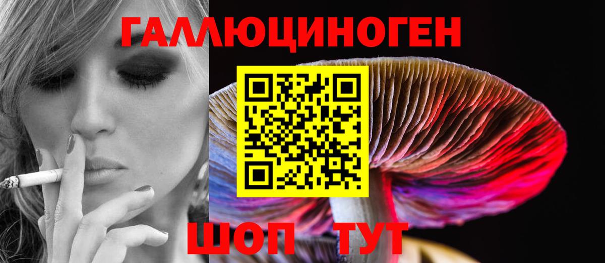 Галлюциногенные грибы Psilocybe Сухой Лог